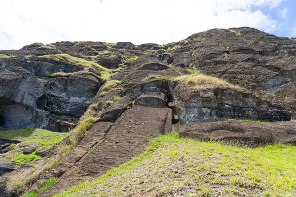Paskalya Adası Şili Şubat 2023 Moai Tokanga Heykeli Paskalya Adası — Stok fotoğraf