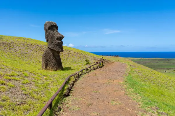 Paskalya Adası, Şili - 28 Şubat 2023: Moai, Şili 'nin Easter Adası' nda (Rapa Nui) Rano Raraku yamacına çıkar. Raraku genellikle Moai Fabrikası olarak bilinir..