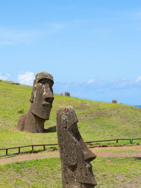 Paskalya Adası, Şili - 28 Şubat 2023: Moai, Şili 'nin Easter Adası' nda (Rapa Nui) Rano Raraku yamacına çıkar. Raraku genellikle Moai Fabrikası olarak bilinir..