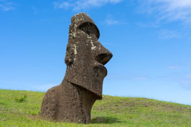 Paskalya Adası, Şili - 28 Şubat 2023: Moai, Şili 'nin Easter Adası' nda (Rapa Nui) Rano Raraku yamacına çıkar. Raraku genellikle Moai Fabrikası olarak bilinir..