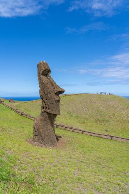 Paskalya Adası, Şili - 28 Şubat 2023: Moai, Şili 'nin Easter Adası' nda (Rapa Nui) Rano Raraku yamacına çıkar. Raraku genellikle Moai Fabrikası olarak bilinir..