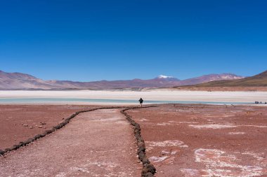 San Pedro de Atacama, Şili. Kızıl Kayalar (Piedras Rojas), Atacama Çölü, Şili 'deki göl ve tuz düzlükleri. 