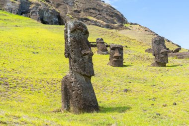 Paskalya Adası, Şili - 28 Şubat 2023: Moai, Şili 'nin Easter Adası' nda (Rapa Nui) Rano Raraku yamacına çıkar. Raraku genellikle Moai Fabrikası olarak bilinir..