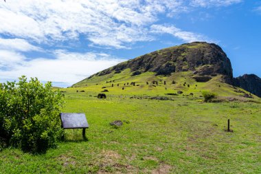 Paskalya Adası, Şili - 28 Şubat 2023: Moai, Easter Adası 'ndaki Rano Raraku yamacına çıkıyor.