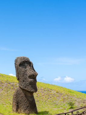 Paskalya Adası, Şili - 28 Şubat 2023: Moai, Şili 'nin Easter Adası' nda (Rapa Nui) Rano Raraku yamacına çıkar. Raraku genellikle Moai Fabrikası olarak bilinir..