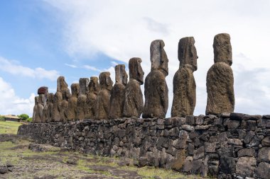 Paskalya Adası, Şili - 28 Şubat 2023: Moai, Easter Adası 'ndaki Rano Raraku yamacına çıkıyor.