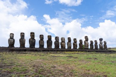 Paskalya Adası, Şili - 28 Şubat 2023: Moai, Easter Adası 'ndaki Rano Raraku yamacına çıkıyor.