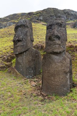Paskalya Adası, Şili - 28 Şubat 2023: Moai, Şili 'nin Easter Adası' nda (Rapa Nui) Rano Raraku yamacına çıkar. Raraku genellikle Moai Fabrikası olarak bilinir..