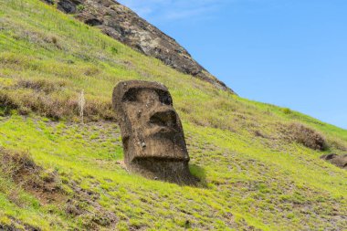 Paskalya Adası, Şili - 28 Şubat 2023: Moai, Şili 'nin Easter Adası' nda (Rapa Nui) Rano Raraku yamacına çıkar. Raraku genellikle Moai Fabrikası olarak bilinir..