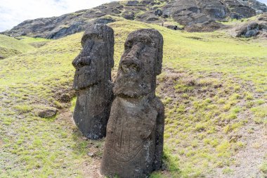Paskalya Adası, Şili - 28 Şubat 2023: Moai, Şili 'nin Easter Adası' nda (Rapa Nui) Rano Raraku yamacına çıkar. Raraku genellikle Moai Fabrikası olarak bilinir..