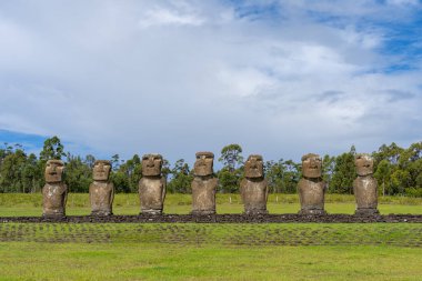Paskalya Adası, Şili - 28 Şubat 2023: Moai, Easter Adası 'ndaki Rano Raraku yamacına çıkıyor.