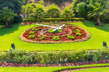 Vina del Mar 'da güzel bir bahçe