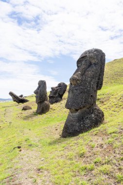Paskalya Adası, Şili - 28 Şubat 2023: Moai, Şili 'nin Easter Adası' nda (Rapa Nui) Rano Raraku yamacına çıkar. Raraku genellikle Moai Fabrikası olarak bilinir..