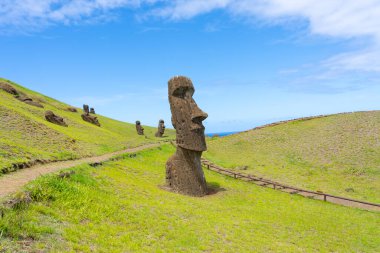 Paskalya Adası, Şili - 28 Şubat 2023: Moai, Şili 'nin Easter Adası' nda (Rapa Nui) Rano Raraku yamacına çıkar. Raraku genellikle Moai Fabrikası olarak bilinir..