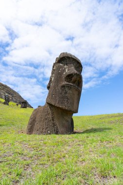 Paskalya Adası, Şili - 28 Şubat 2023: Moai, Şili 'nin Easter Adası' nda (Rapa Nui) Rano Raraku yamacına çıkar. Raraku genellikle Moai Fabrikası olarak bilinir..