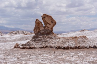 San Pedro de Atacama, Şili 'de Ay Vadisi' nde (Valle de la Luna) dinozor başı kaya oluşumu. Ay Vadisi, Los Flamencos Ulusal Rezervi 'nde bir vadidir..