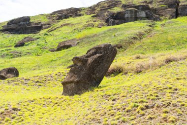 Paskalya Adası, Şili - 28 Şubat 2023: Moai, Easter Adası 'ndaki Rano Raraku yamacına çıkıyor.
