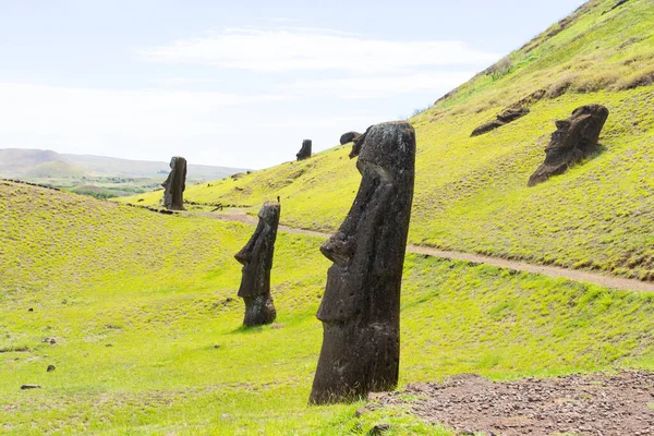 Paskalya Adası, Şili - 28 Şubat 2023: Moai, Şili 'nin Easter Adası' nda (Rapa Nui) Rano Raraku yamacına çıkar. Raraku genellikle Moai Fabrikası olarak bilinir..