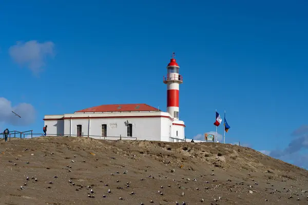 Lighthouse Magdalena Island Punta Arenas Chile Magdalena Island One Largest — Stock Photo, Image