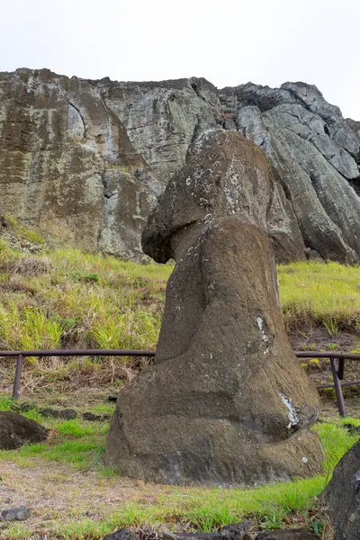 Paskalya Adası, Şili - 28 Şubat 2023: Moai, Easter Adası 'ndaki Rano Raraku yamacına çıkıyor.