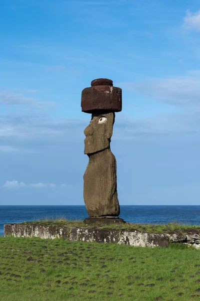 Isla Pascua Chile Febrero 2023 Moai Dirige Ladera Rano Raraku — Foto de Stock