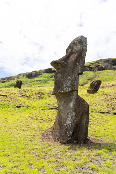 Pasen Eiland Chili Februari 2023 Moai Hoofden Helling Van Rano — Stockfoto