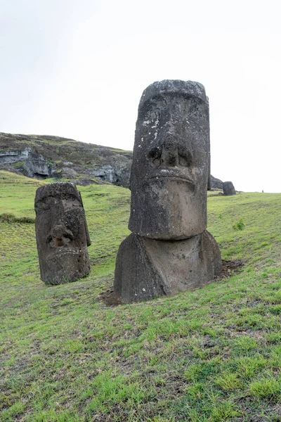 Paskalya Adası, Şili - 28 Şubat 2023: Moai, Easter Adası 'ndaki Rano Raraku yamacına çıkıyor.