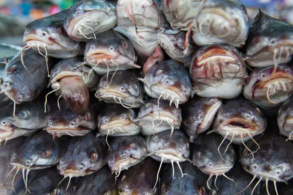 魚市場での販売のための新鮮な魚介類 — ストック写真