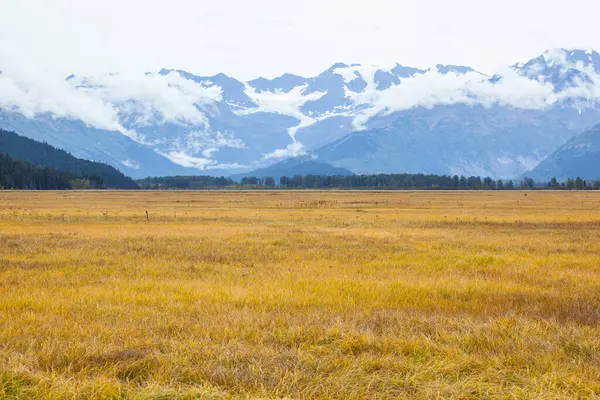 Spadek Trawy Góry Tle Alaska — Zdjęcie stockowe