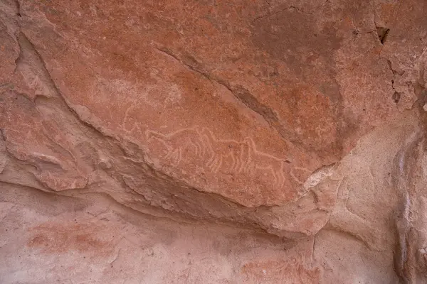 Yerbas Buenas Petroglyphs San Pedro Atacama Şili Şubat 2023 Kuzey — Stok fotoğraf