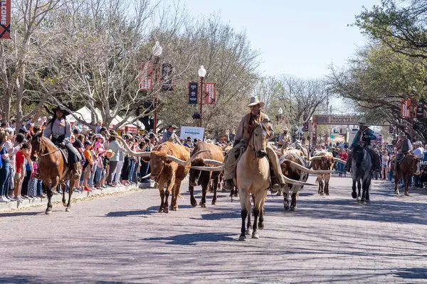 Fort Worth, Teksas, ABD - 19 Mart 2022: Fort Worth, Teksas, ABD 'deki Fort Worth Stockyard' da uzun boynuzlu sığır sürüsü. Fort Worth Stockyard Ulusal Tarih Bölgesi 'dir..
