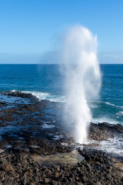 Poipu, Hawaii, ABD yakınlarındaki Kauai 'nin güney kıyısında bir hava deliği. Hava deliği, doğal lav borusundan 15 metreye kadar su fışkırtıyor..