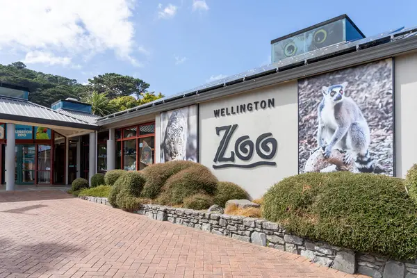 Веллингтон Новая Зеландия Февраля 2024 Года Вход Веллингтонский Зоопарк Веллингтоне Стоковая Картинка