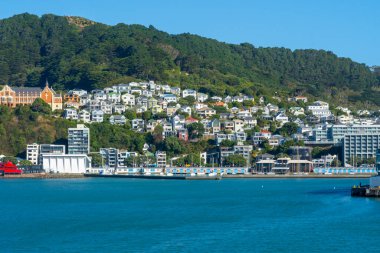 Wellington, Yeni Zelanda - 20 Şubat 2024: Wellington, Yeni Zelanda 'da Victoria Dağı' nın yamacındaki renkli evler.