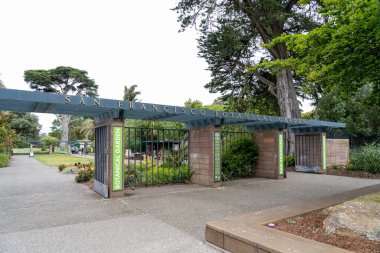 San Francisco Botanik Bahçesi, San Francisco, Kaliforniya, ABD, 7 Haziran 2023. Strybing Botanik Bahçesi San Francisco 'nun Golden Gate Park' ında yer almaktadır..