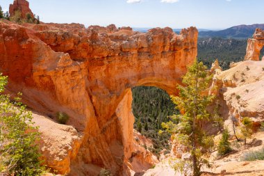 Bryce Canyon Ulusal Parkı, Güney Utah, ABD, 3 Haziran 2023. Bryce Canyon Ulusal Parkı, koyu kırmızı kabadayılarıyla tanınır. Bunlar ilmik şekilli kaya oluşumlarıdır..