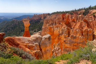 Bryce Canyon Ulusal Parkı, Güney Utah, ABD, 3 Haziran 2023. Bryce Canyon Ulusal Parkı, koyu kırmızı kabadayılarıyla tanınır. Bunlar ilmik şekilli kaya oluşumlarıdır..