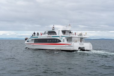 Puget Sound Express Balinası 'nın ziyaretçileri. San Juan Adaları, Washington' daki tur teknesini izliyorlar. 16 Haziran 2023..