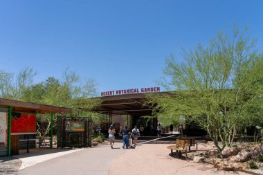 Arizona, Phoenix 'teki Desert Botanik Bahçesi - 26 Mayıs 2023. Çöl Botanik Bahçesi Papago Park, Phoenix 'te 140 dönümlük bir botanik bahçesi..