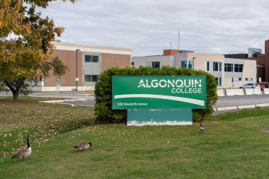 Ottawa, ON, Canada - October 15, 2023: Algonquin College - Algonquin Centre for Construction Excellence at 1408 Woodroffe Ave, Ottawa, ON, Canada. clipart