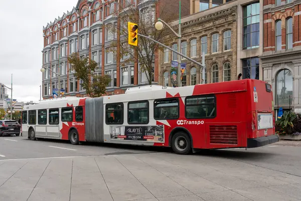 stock image Ottawa, Ontario, Canada - October 16, 2023: An OC Transpo bus on the street in Ottawa, Ontario, Canada. OC Transpo is the organization that operates and plans public transport in the city of Ottawa.