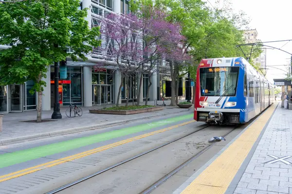 Salt Lake City, Utah, ABD - 15 Mayıs 2023: Salt Lake City, Utah, ABD şehir merkezinde bir UTA TRAX hafif tren. TRAX, Utah 'taki Salt Lake Vadisi' nde bulunan bir hafif demiryolu sistemidir.
