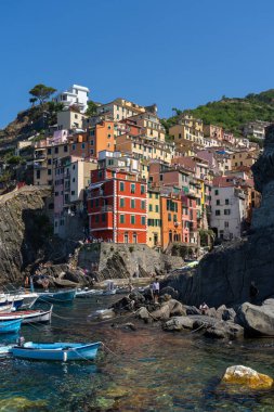 Cinque Terre, Liguria, İtalya - 22 Temmuz 2024: İtalya 'nın engebeli Riviera kıyı şeridi üzerinde bir dizi deniz kenarı köyü olan Cinque Terre, İtalya' nın beş balıkçı köyünden biri olan Vernazza 'nın görüntüsü.