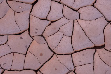 Close up of dried brown mud