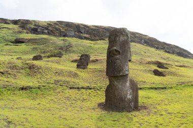 Paskalya Adası, Şili - 28 Şubat 2023: Moai, Şili 'nin Rapa Nui şehrinde, Rano Raraku yamacında. Raraku genellikle Moai Fabrikası olarak bilinir.