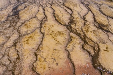 El Tatio, Şili gayzer sahasındaki Sinter teraslarını kapatın. Sıcak kaynaklar taştığında genellikle çok ince taneli silisyondan yapılmış bir kaya oluştururlar ve bu kayalar düz, teras ve tepeciklere dönüşür.