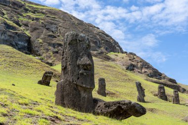 Paskalya Adası, Şili - 4 Mart 2023: Moai, Şili 'nin Rapa Nui kentindeki Rano Raraku yamacına çıkar. Raraku genellikle Moai Fabrikası olarak bilinir.