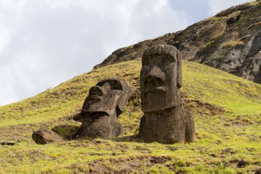 Paskalya Adası, Şili - 28 Şubat 2023: Moai, Şili 'nin Rapa Nui şehrinde, Rano Raraku yamacında. Raraku genellikle Moai Fabrikası olarak bilinir.