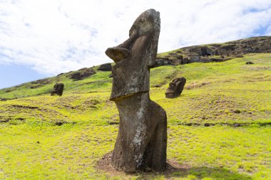 Paskalya Adası, Şili - 4 Mart 2023: Moai, Şili 'nin Rapa Nui kentindeki Rano Raraku yamacına çıkar. Raraku genellikle Moai Fabrikası olarak bilinir.