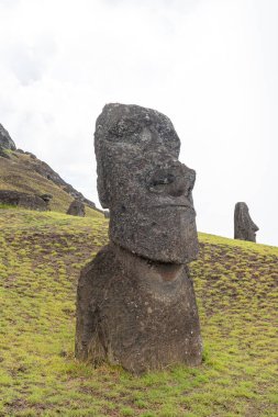 Paskalya Adası, Şili - 28 Şubat 2023: Moai, Şili 'nin Rapa Nui şehrinde, Rano Raraku yamacında. Raraku genellikle Moai Fabrikası olarak bilinir.